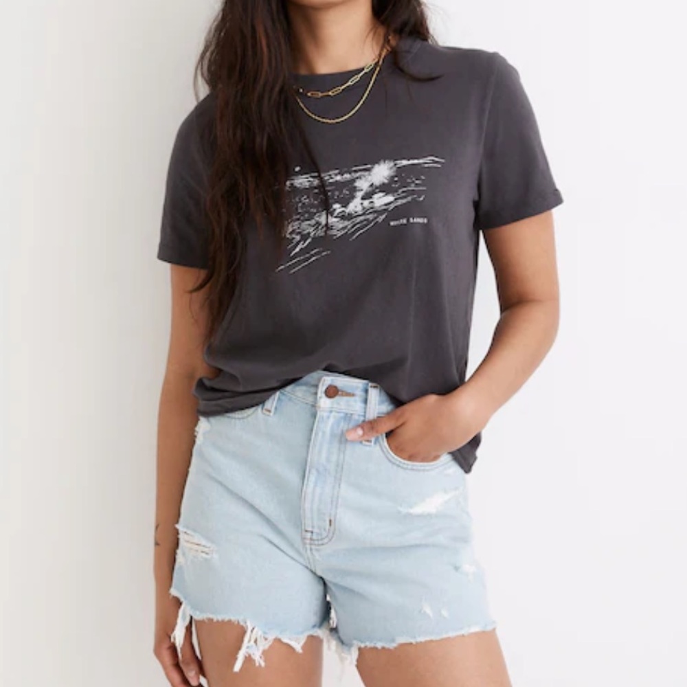 NWT! Madewell Plus White Sands Softfade Cotton Oversized Tee Coal 1X